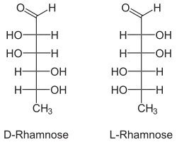 Image illustrative de l’article Rhamnose