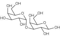 Image illustrative de l’article Galactose-alpha-1,3-galactose