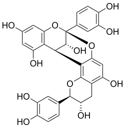 Image illustrative de l’article Procyanidine A1