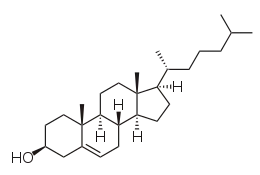 Image illustrative de l’article Cholestérol