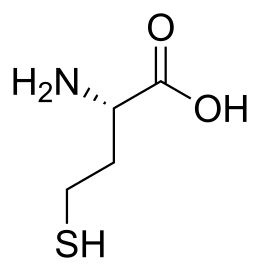 Description de l'image L-Homocysteine.svg.