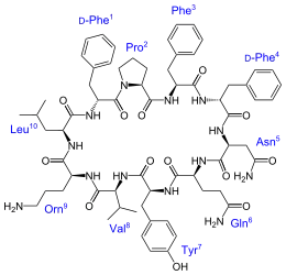 Image illustrative de l’article Tyrocidine