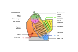 Schéma d'une chaudière à tubes d'eau.