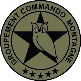 Image illustrative de l’article Groupement de commandos de montagne
