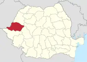 Localisation de Județ d'Arad