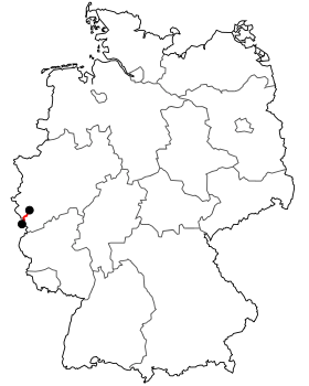 Image illustrative de l’article Bundesstraße 399