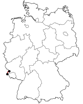 Image illustrative de l’article Bundesstraße 419