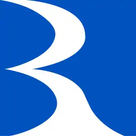 logo de Banque Rasini