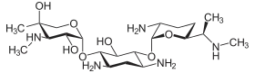 Image illustrative de l’article Gentamicine