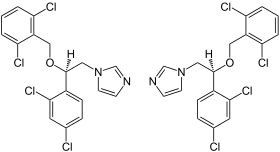 Image illustrative de l’article Isoconazole