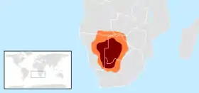 Image illustrative de l’article Désert du Kalahari