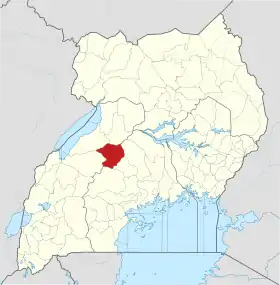Kyankwanzi (district)