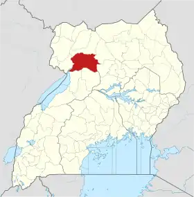 Nwoya (district)