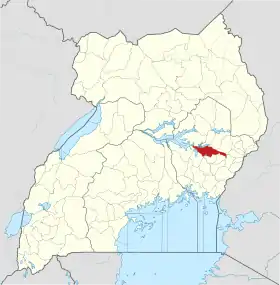 Pallisa (district)