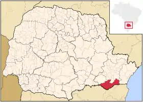 Microrégion du Rio Negro (Paraná)