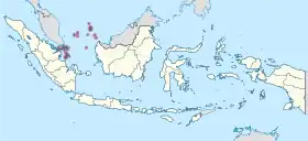Îles Riau (province)