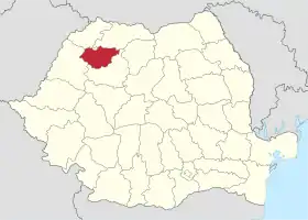 Localisation de Județ de Sălaj