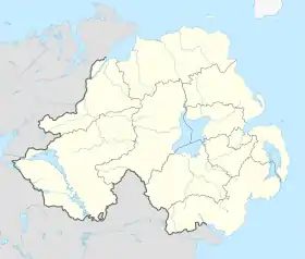 Gouvernement local en Irlande du Nord