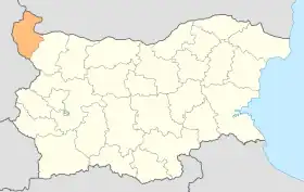 Vidin (oblast)