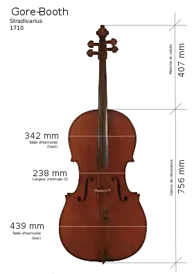 Image illustrative de l’article Gore-Booth (Stradivarius)