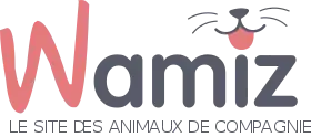 logo de Wamiz