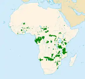 Description de l'image African Elephant distribution map without borders.svg.