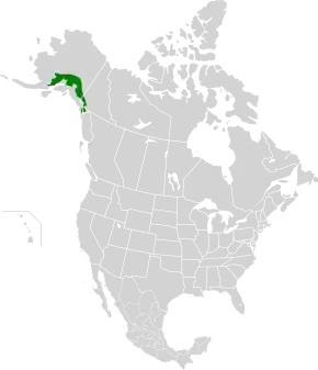 Description de l'image Alaska-St. Elias Range tundra map.svg.