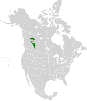 Description de l'image Alberta-British Columbia foothills forests map.svg.