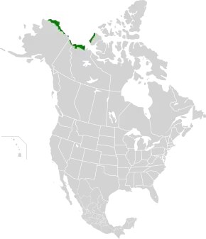 Description de l'image Arctic coastal tundra map.svg.