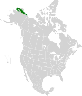 Description de l'image Arctic foothills tundra map.svg.