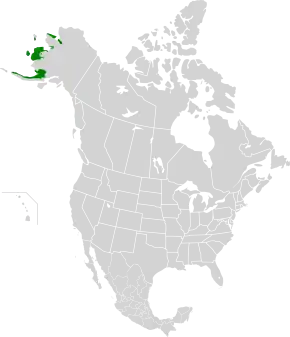 Description de l'image Beringia lowland tundra map.svg.