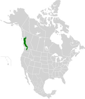 Description de l'image British Columbia mainland coastal forests map.svg.