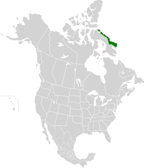 Description de l'image Davis Highlands tundra map.svg.