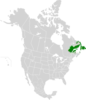 Description de l'image Eastern Canadian Forests map.svg.