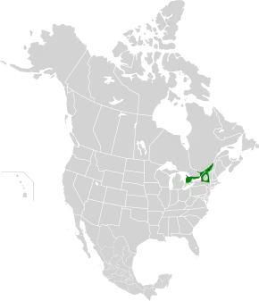 Description de l'image Eastern Great Lakes Lowland Forests.svg.