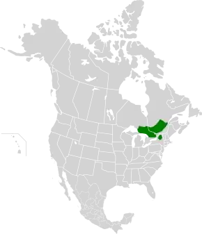 Description de l'image Eastern forest-boreal transition map.svg.