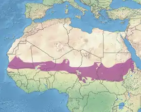 Description de l'image Ecoregion AT0713.svg.