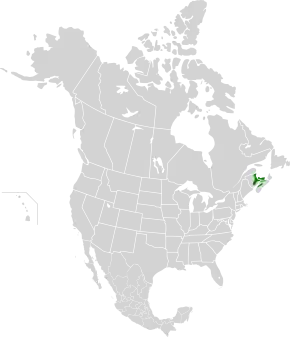 Description de l'image Gulf of St. Lawrence lowland forests map.svg.