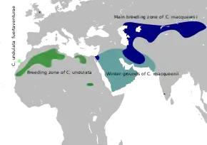 Description de l'image Houbara map.svg.