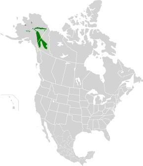 Description de l'image Interior Yukon-Alaska alpine tundra map.svg.