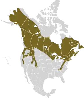 Description de l'image Lepus americanus map.svg.