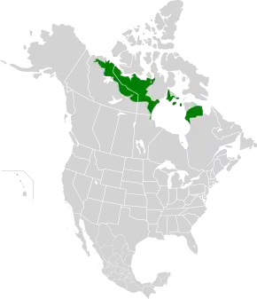 Description de l'image Low Arctic tundra map.svg.