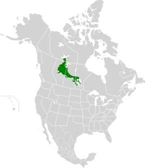 Description de l'image Mid-Continental Canadian forests map.svg.