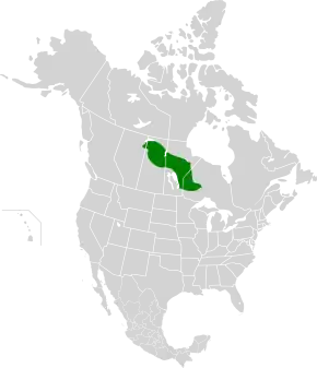 Description de l'image Midwestern Canadian Shield forests map.svg.