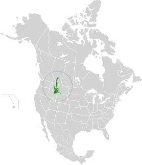 Description de l'image Montana Valley and Foothill grasslands map.svg.