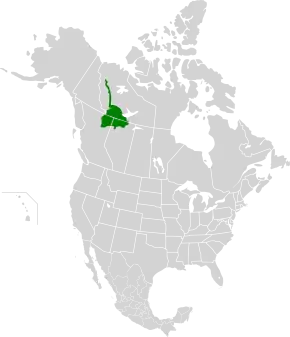 Description de l'image Muskwa-Slave Lake forests map.svg.