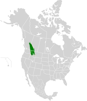 Description de l'image North Central Rockies forests map.svg.