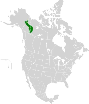 Description de l'image Ogilvie-MacKenzie alpine tundra map.svg.