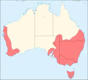 Description de l'image Oxyura australis distribution map.svg.