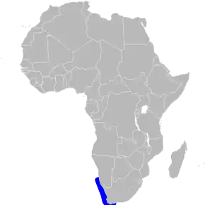 Description de l'image Phalacrocorax neglectus map.svg.